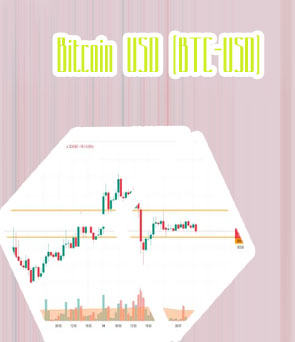 Btc to dolla